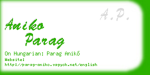 aniko parag business card